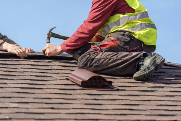 Best Metal Roofing Contractor  in Hanapepe, HI